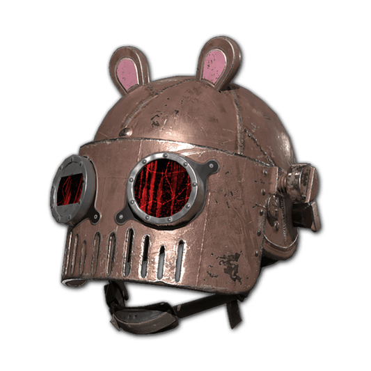 PUBG Props | bunny dcademy -helmet level3