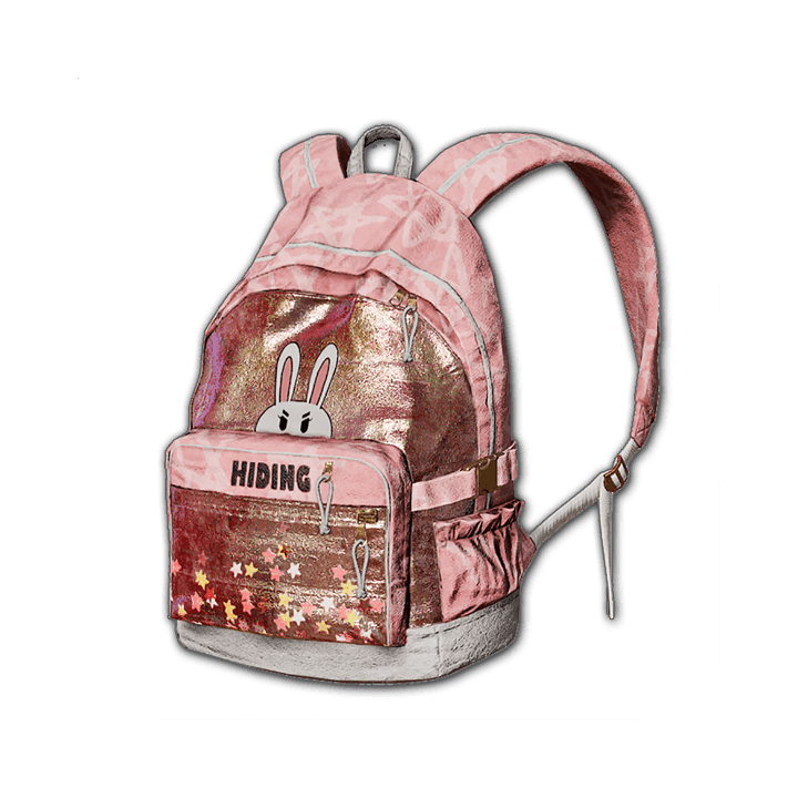 PUBG Props | BOOKSTACK BACKPACK PACK